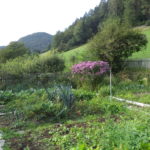 DSC01203