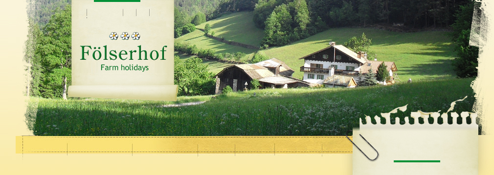 Single waldershof